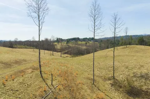 tbd Carsonville Rd, Independence, VA 24348 photo 3