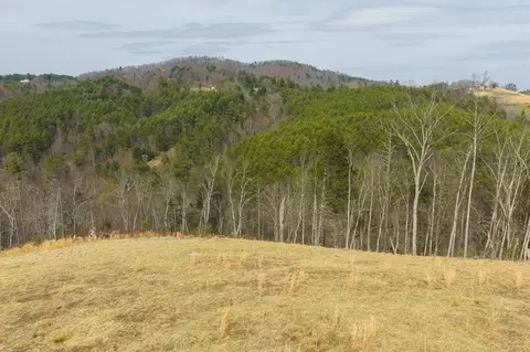 tbd Carsonville Rd, Independence, VA 24348 photo 21