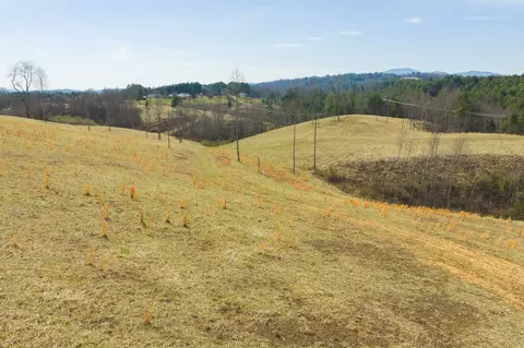 tbd Carsonville Rd, Independence, VA 24348 photo 22