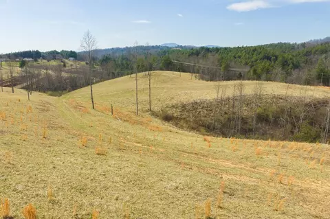 tbd Carsonville Rd, Independence, VA 24348 photo 16