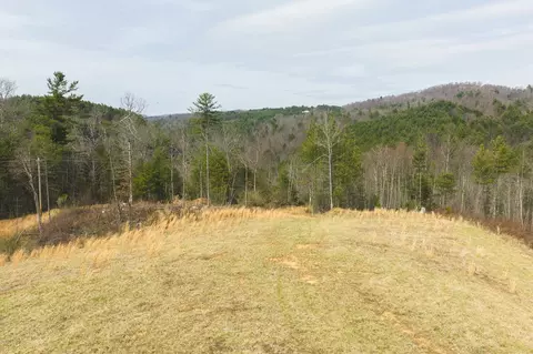 tbd Carsonville Rd, Independence, VA 24348 photo 10