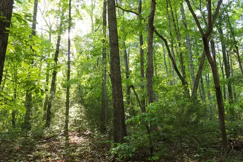 00 Turkey Ridge Dr, Ferrum, VA 24088 photo 5