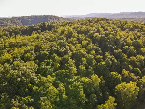 00 Turkey Ridge Dr, Ferrum, VA 24088 photo 16