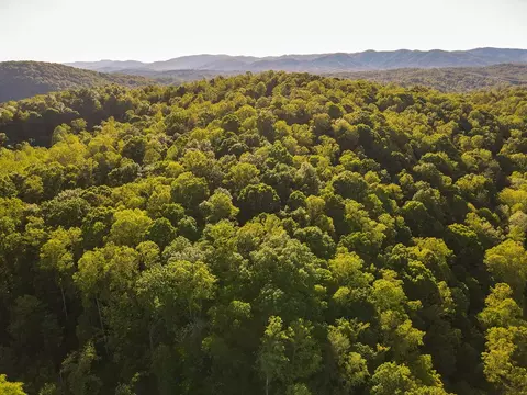 00 Turkey Ridge Dr, Ferrum, VA 24088 photo 6