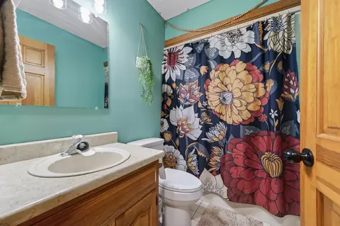 Bath - 270 Brooke Elyse Ln, Max Meadows, VA 24360 photo 1 of 2