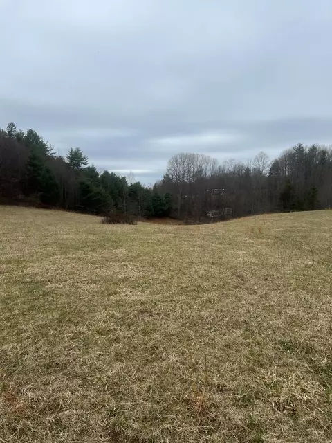 299 Red Ford Rd, Meadows Of Dan, VA 24120