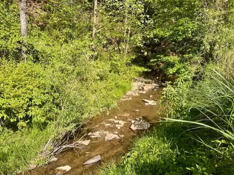 Other - 439 Laurel Rd, Cedar Bluff, VA 24609 photo 4 of 9