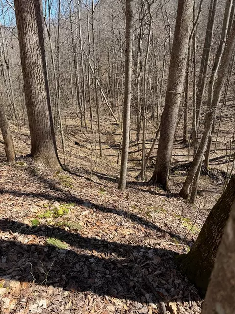tbd Corder Town Rd, Coeburn, VA 24230 photo 3