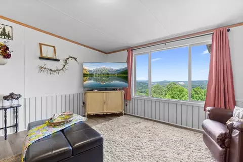 610 Carrollview Rd, Fancy Gap, VA 24328 photo 10