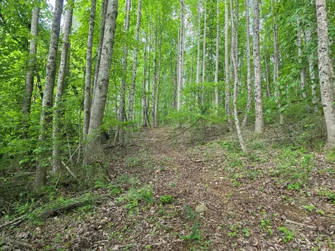 tbd Bent Nail Rd, Hillsville, VA 24343