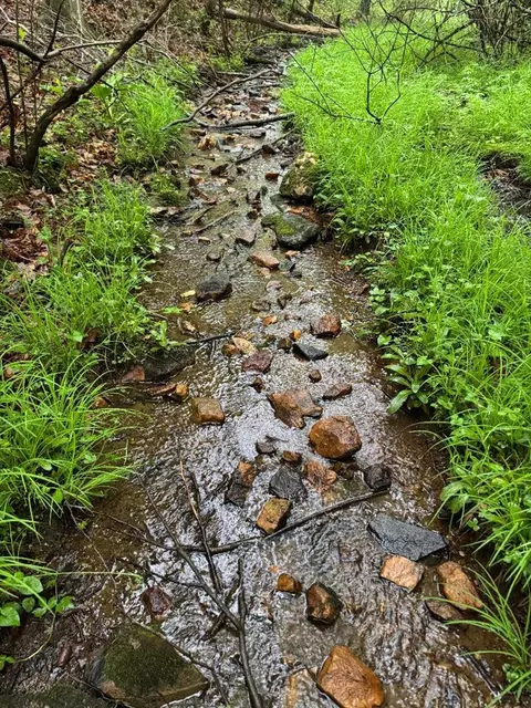 tbd Fancy Gap Hwy, Hillsville, VA 24343