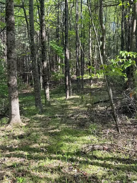 tbd Lambsburg Rd, Galax, VA 24333