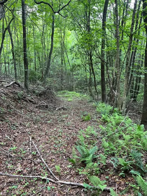 tbd High Mountain Trl, Laurel Fork, VA 24352 photo 11