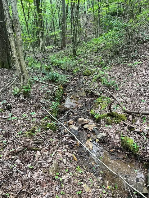 tbd High Mountain Trl, Laurel Fork, VA 24352 photo 7