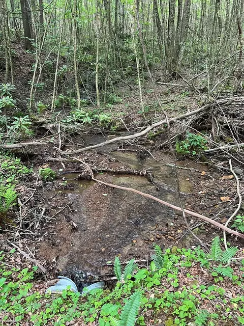 tbd High Mountain Trl, Laurel Fork, VA 24352 photo 12