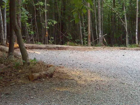 tbd High Mountain Trl, Laurel Fork, VA 24352 photo 17