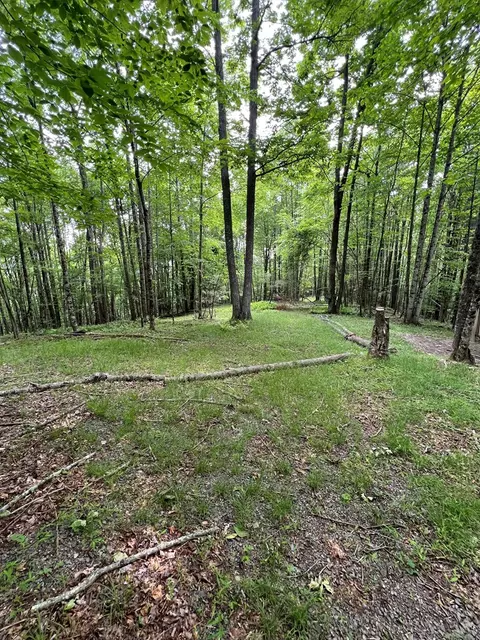 tbd High Mountain Trl, Laurel Fork, VA 24352 photo 4