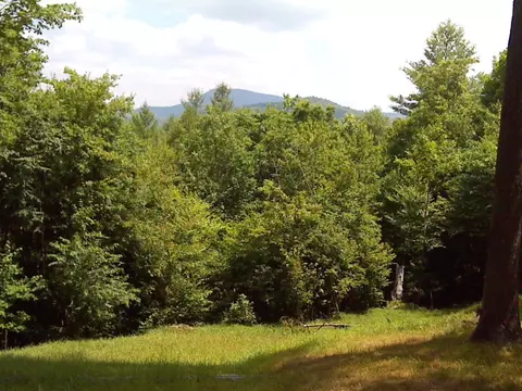 tbd High Mountain Trl, Laurel Fork, VA 24352 photo 14