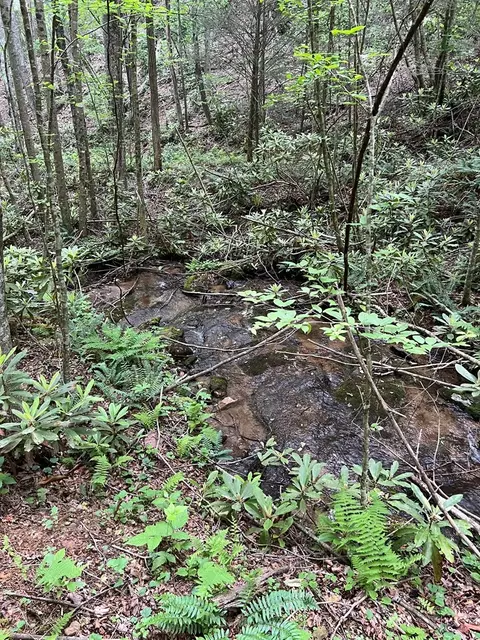 tbd High Mountain Trl, Laurel Fork, VA 24352 photo 6