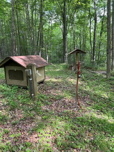 tbd High Mountain Trl, Laurel Fork, VA 24352 photo 5