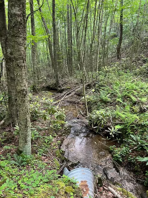 tbd High Mountain Trl, Laurel Fork, VA 24352 photo 13