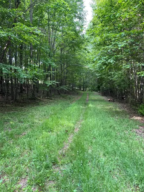 tbd High Mountain Trl, Laurel Fork, VA 24352 photo 9