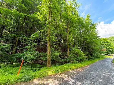 tbd Doubletree Dr, Chilhowie, VA 24319 photo 6