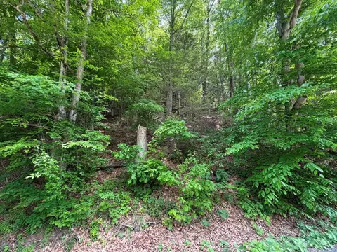 tbd Doubletree Dr, Chilhowie, VA 24319 photo 13