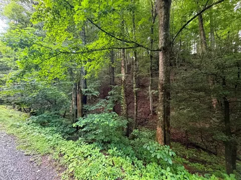 tbd Doubletree Dr, Chilhowie, VA 24319 photo 5