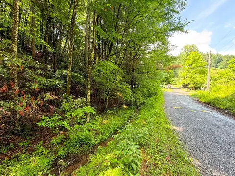 tbd Doubletree Dr, Chilhowie, VA 24319 photo 11