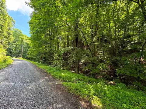 tbd Doubletree Dr, Chilhowie, VA 24319 photo 9