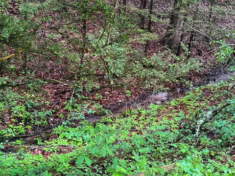tbd Doubletree Dr, Chilhowie, VA 24319 photo 7