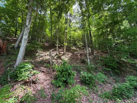 tbd Doubletree Dr, Chilhowie, VA 24319 photo 14