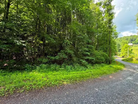 tbd Doubletree Dr, Chilhowie, VA 24319 photo 10