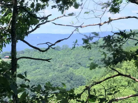 View/Area - 728 Groundhog Hills Rd, Hillsville, VA 24343 photo 1 of 3