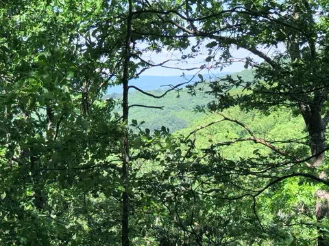 View/Area - 728 Groundhog Hills Rd, Hillsville, VA 24343 photo 2 of 3