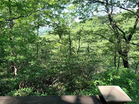 Other - 728 Groundhog Hills Rd, Hillsville, VA 24343 photo 7 of 7