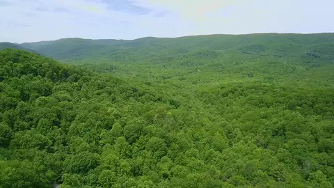 lot15 Cove Crk, Bastian, VA 24314