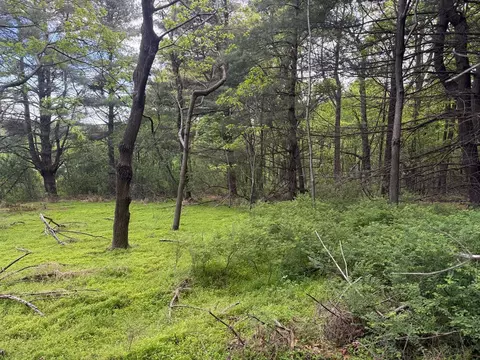tbd Danville Pike, Laurel Fork, VA 24352 photo 17