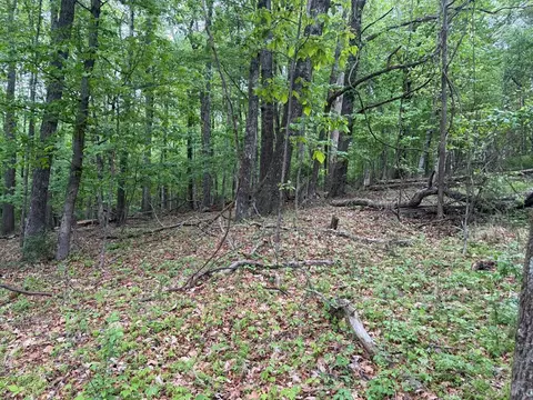 tbd Danville Pike, Laurel Fork, VA 24352 photo 21