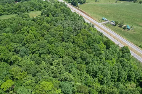 tbd Danville Pike, Laurel Fork, VA 24352 photo 13