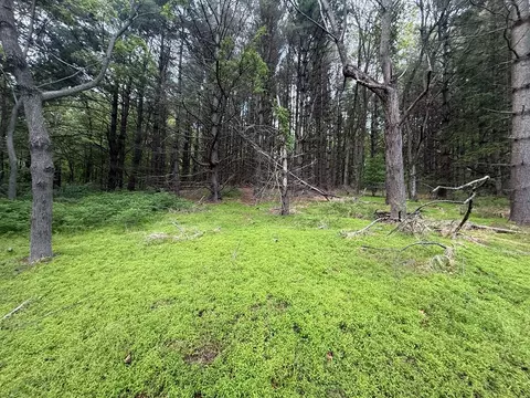 tbd Danville Pike, Laurel Fork, VA 24352 photo 18