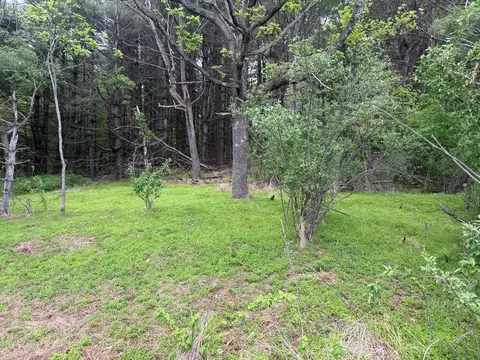 tbd Danville Pike, Laurel Fork, VA 24352 photo 20