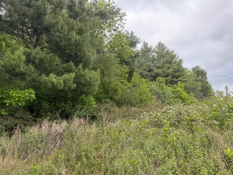 tbd Danville Pike, Laurel Fork, VA 24352 photo 16
