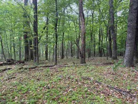 tbd Danville Pike, Laurel Fork, VA 24352 photo 22