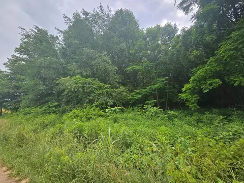 lot4 Widener Valley Rd, Damascus, VA 24236 photo 11