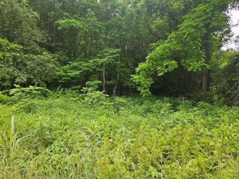 lot4 Widener Valley Rd, Damascus, VA 24236 photo 12