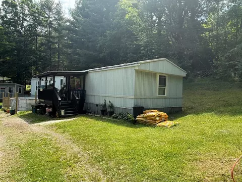 8202 Ivanhoe Rd, Ivanhoe, VA 24350
