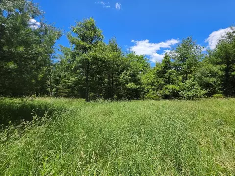 tbd Oak Grove Rd, Woodlawn, VA 24381