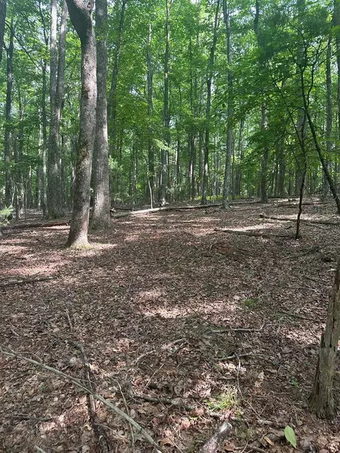 tbd Forest Green Dr, Galax, VA 24333